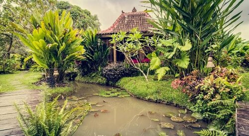 Dragonfly Village, Prenota Bed & breakfast Ubud Gianyar