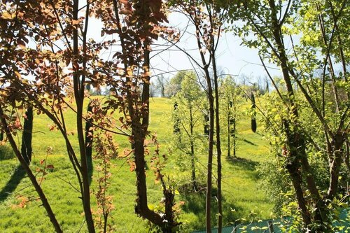 BoscoBo - Relax & Natura, Забронировать Отель Отели Болоньи 5 звезд, 5*