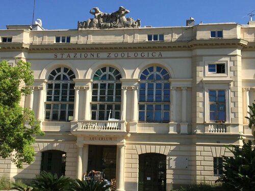 Passpartenope, Забронировать Отель Неаполь Кампания, рядом с Palazzo del Banco di Napoli