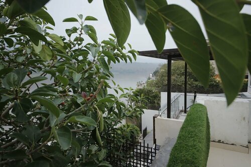 The Naga, Book Hotel Rishikesh Uttarakhand