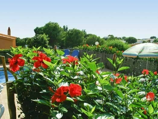 Villas Menorca Sur