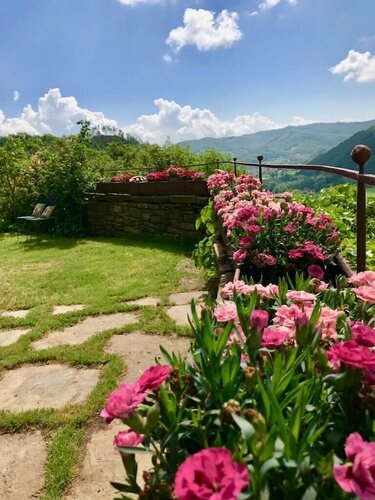 Agriturismo Biologico Castello Della Pieve, Забронировать Фермерский дом Отели Ривьеры Романьола с питанием, Пансион