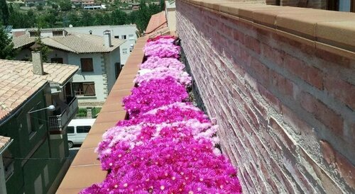 Lagaya Apartaments & Spa, Prenota Resort Valderrobres 