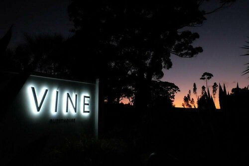 Vine Guesthouse, Брондау Гостьхаус Stellenbosch Cape Winelands