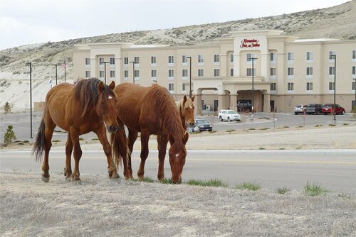 Hampton Inn & Suites Green River, Забронировать Отель Грин-Ривер Flaming Gorge, рядом с Expedition Island Park