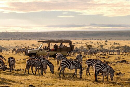 Olare Mara Kempinski, Buchen Sie Zelt-Lodge Talek Masai Mara