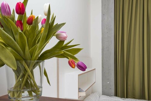 Seminarhaus S1516, Rezervasyon Otel Mitte Berlin, Designpanoptikum yakınında