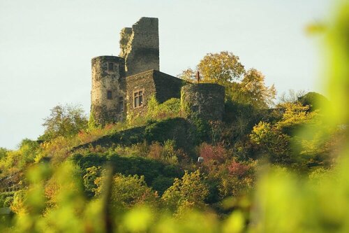 Hotel-Restaurant-Weingut Kapellenhof, Забронировать Отель Клоттен Мозель - Германия