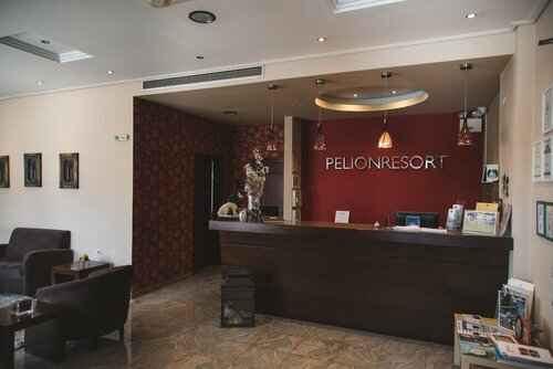 Hotel Pelion Resort, Prenota Resort Hotel a Tessaglia con piscina, Piscina
