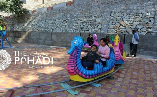 The Pahadi Organic