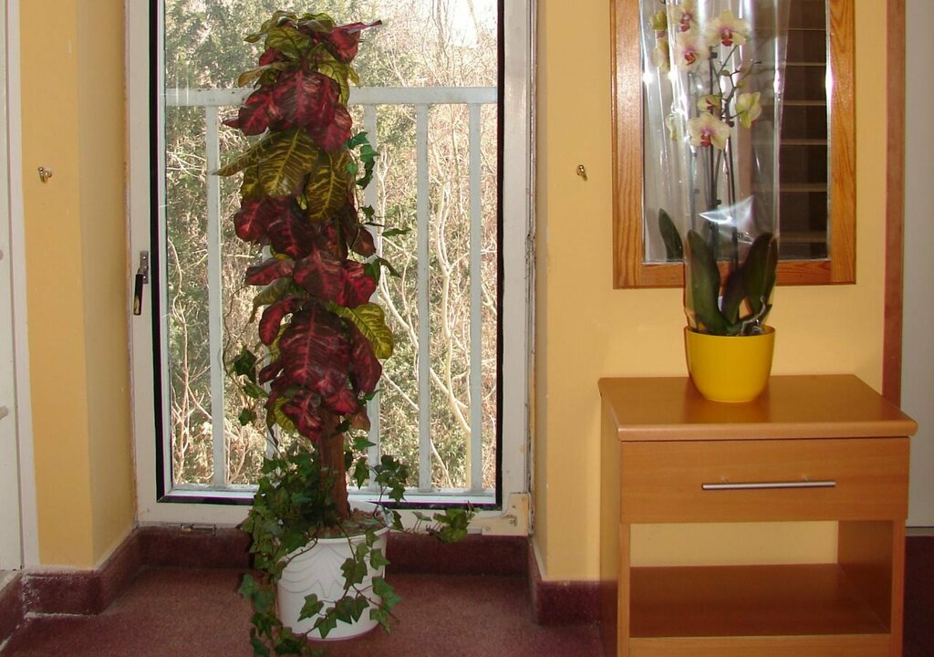 Hotel Aladin