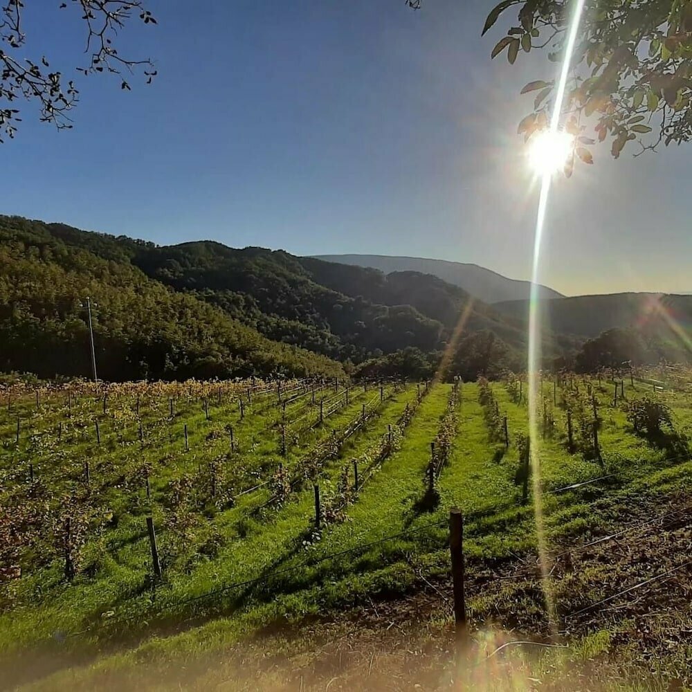 Le Case - Residenza di Campagna