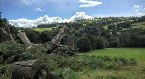 Deneview, Book Hotel Hoteller i Cumbria med parkering, Parkering