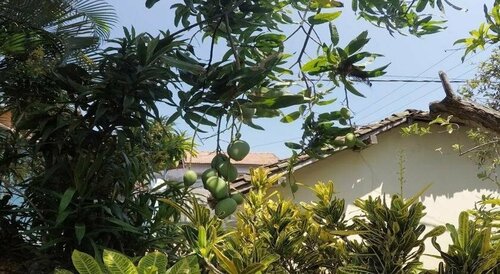 Mia's Villa, Забронировать Вилла Хиккадува Округ Галле