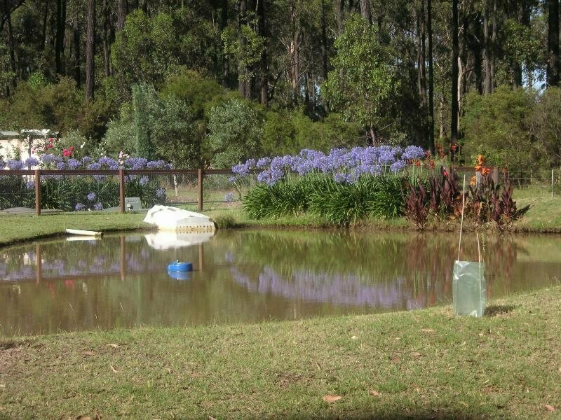 Rosedale Estate - Lovedale Hunter Valley