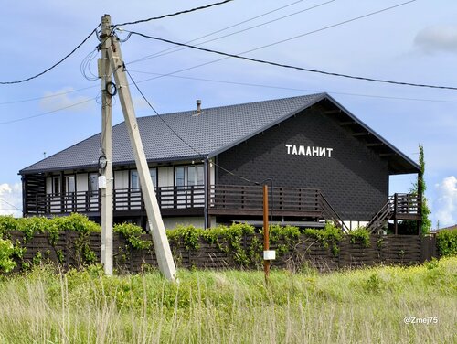 Tamanit