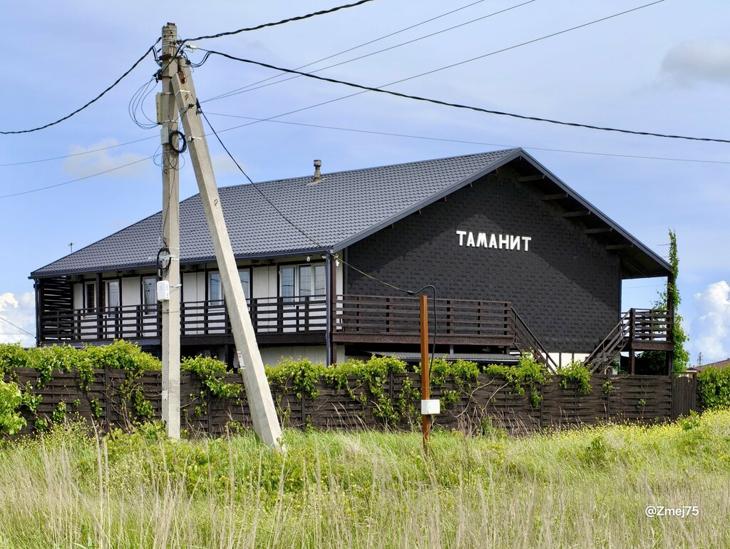 Tamanit