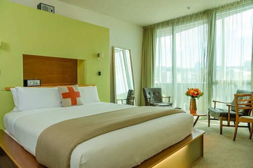 Ohtel Wellington, Book Hotel Wellington Auckland Region