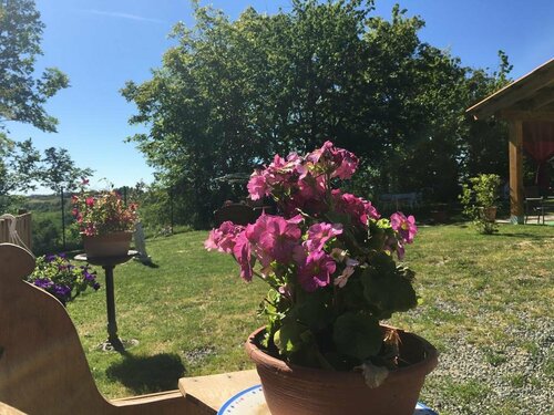 La Rosa Tra Le Vigne, Prenota Hotel Belveglio Piemonte