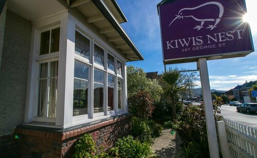 Kiwis Nest