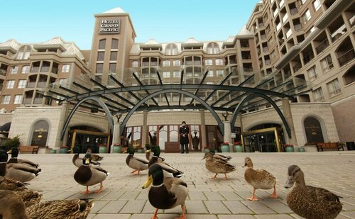 Hotel Grand Pacific, Забронировать Отель Отели Виктории 4 звезды, рядом с Old Town, 4*