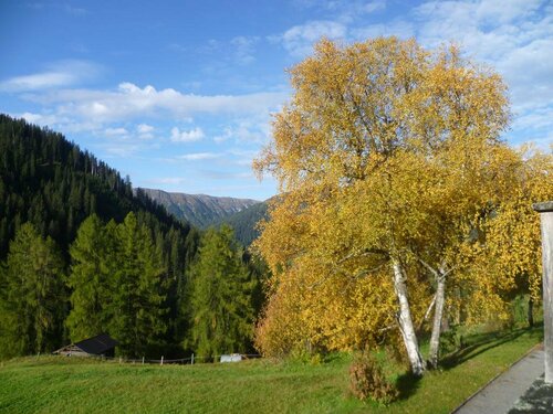 Sporthotel Clavadel, Book Hotel Clavadel Davos