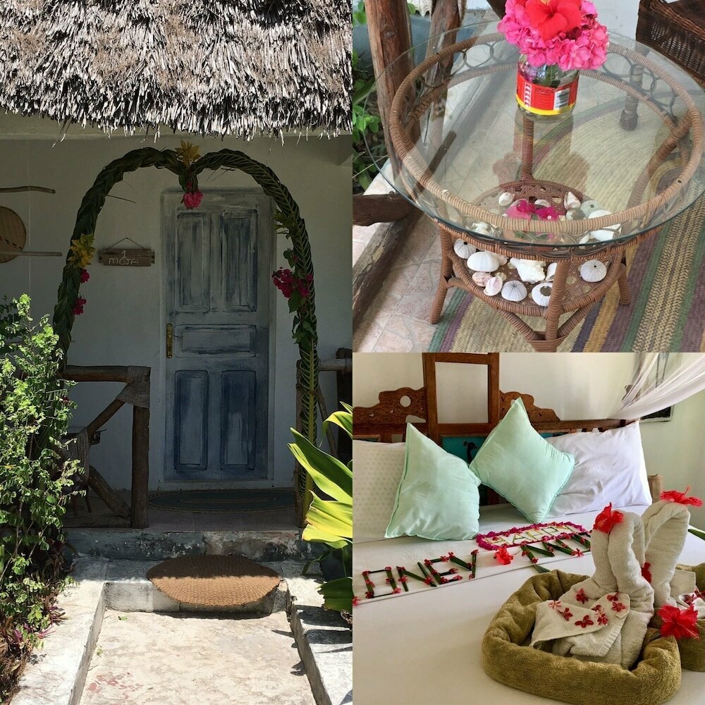 Driftwood Beach Lodge