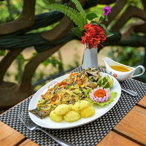 Forest Cottages, Prenota Hotel Bukoto Kampala