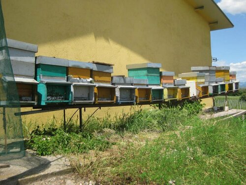 Agriturismo e Agricamping Le Nosare, Забронировать Отель Валеджо-суль-Минчо Garda Veneto