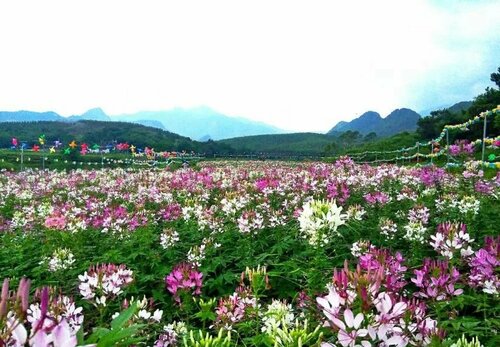 Shaoguan Palace International Resorts, Rezerwuj Hotel Hotele w Shaoguan z parkingiem, Parking