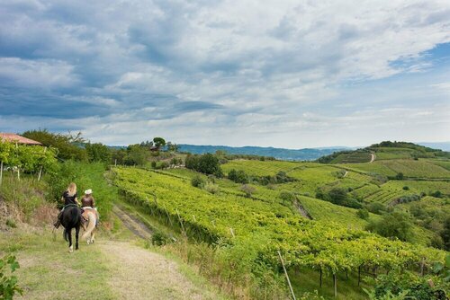 La Finestra Sul Castello - Soave, Book Hotel Soave Venetien