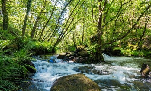 O Muiño de Pena, Réserver Maison de vacances O Pino 