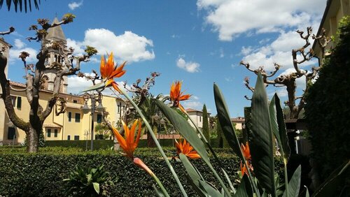 Albergo Roma, Boek Hotel Hotels in Lari met parkeren, Parkeren