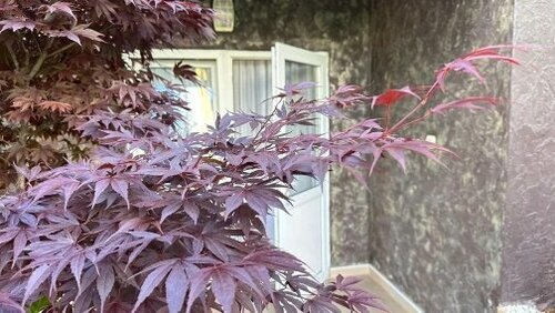 Меблированные комнаты КомфортЛоо, Забронировать Гостевой дом Отели Лоо с парковкой, Парковка