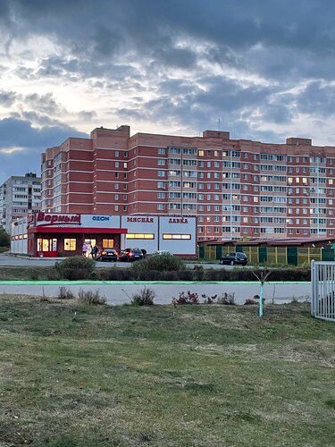 Nomer standart, 予約  Yegoryevsk Yegoryevsk Urban Okrug