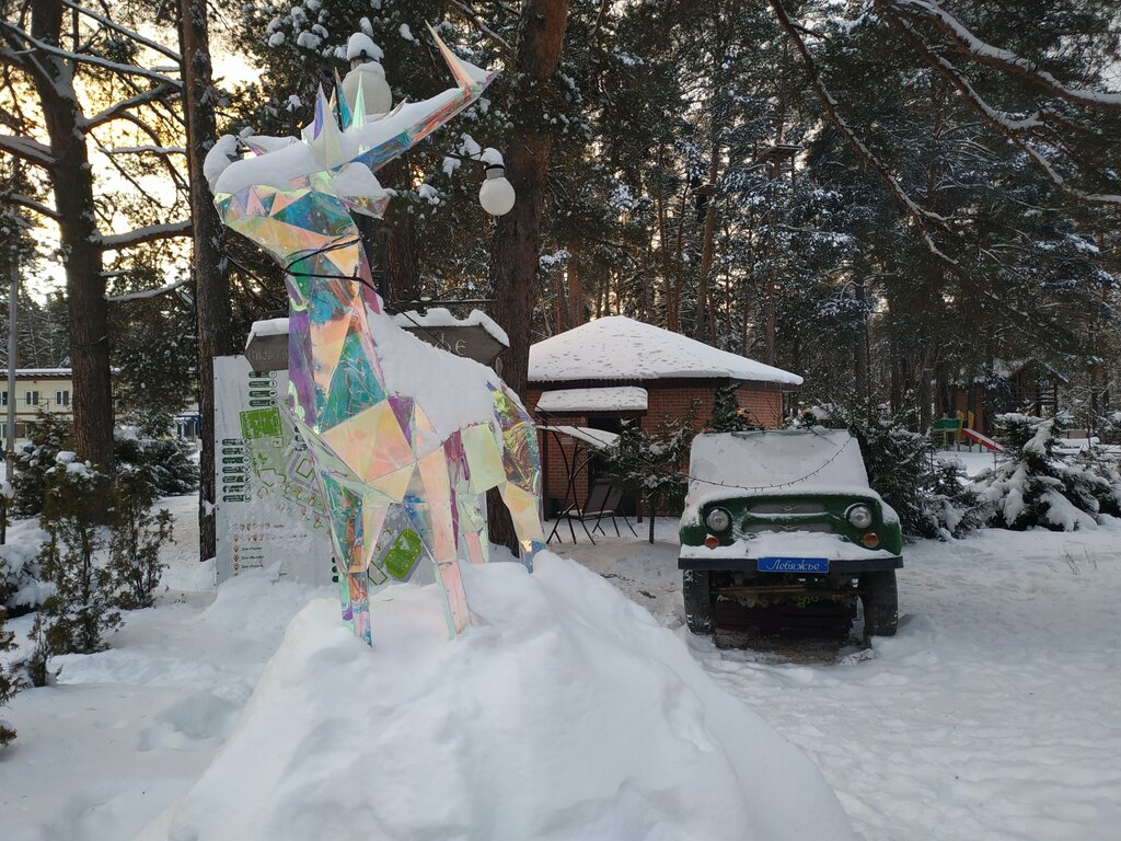 Лебяжье