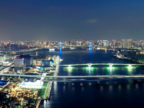 Mitsui Garden Hotel Toyosu Premier - Tokyo, Забронировать Отель Бизнес-отели Токио, 4* 5*