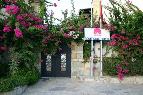 Cotton Boutique Hotel 16+, Varaa Boutique-hotelli Gumbet Bodrum