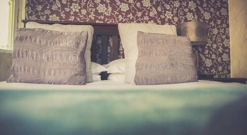 Princes Lodge Guesthouse, Забронировать Гостевой дом Ист-Лондон провинция Восточный Кейп, рядом с Торговый центр Hemingways Mall