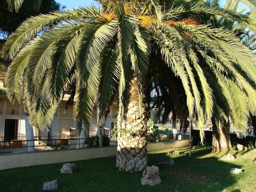 Ignatia Hotel, Book Hotel Hotels in Nea Kios with Parking, Parking
