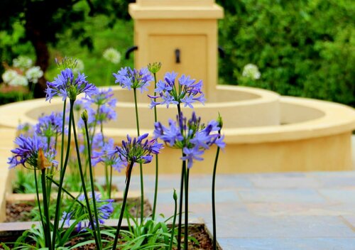 La Villa Vita Boutique Hotel & Spa, Забронировать Отель Отели Мбомбела 4 звезды, 4*