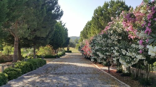 Urla Ciftlik Otel, Rezervați Hotel Hoteluri în Urla cu piscină, Piscină