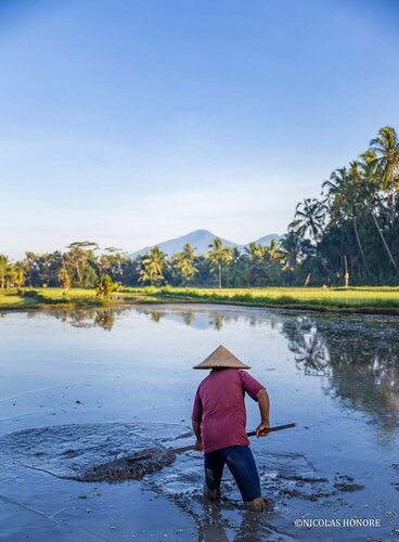 Hati Padi Cottages, Rezerwuj Hotel Hotele w Bali z basenem, Basen