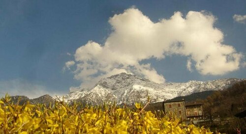 Villadina Farm, Book Landbrugsophold Colico Como