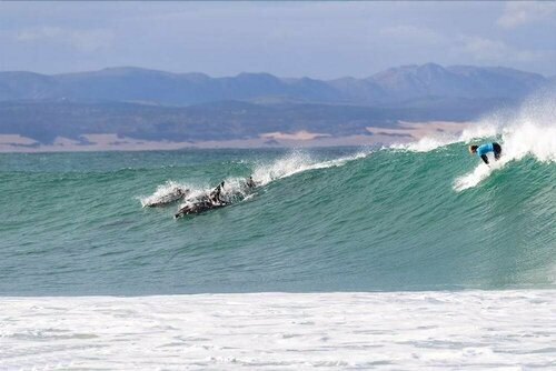 Aquarius Bed And Breakfast, Book Bed and Breakfast Jeffreys Bay Route 62
