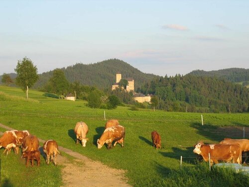 Ferienhof Stanzl, Rezervați Hotel Rappottenstein Waldviertel