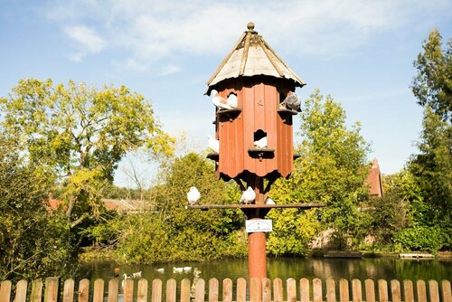 Elm Farm Country House, Prenota Hotel Norfolk Inghilterra