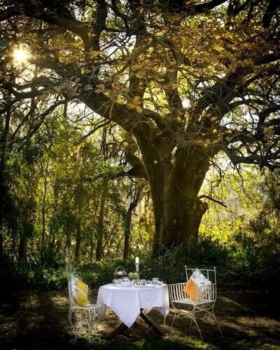 Vindoux Tree House Guest Farm & Spa
