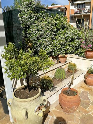Il Giardino Dei Limoni, Забронировать Отель Отели Ачи-Кастелло с завтраком, Завтраки