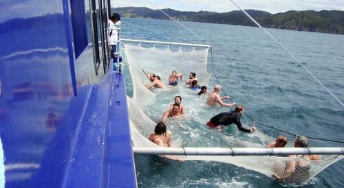 Sea Breeze Lodge, Забронировать Отель Отели региона Нортленд 3 звезды, 3*